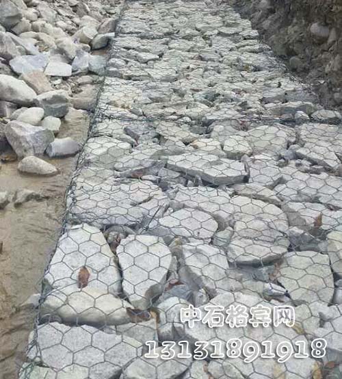 zsshilong109.jpg zsshilong109.jpg